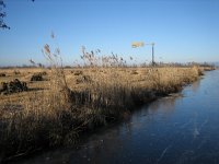 NL, Overijssel, Steenwijkerland, Weerribben 20, Saxifraga-Harry van Oosterhout : winter, ijs, Weerribben, riet